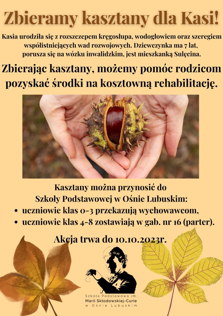 Tutaj powinien być opis