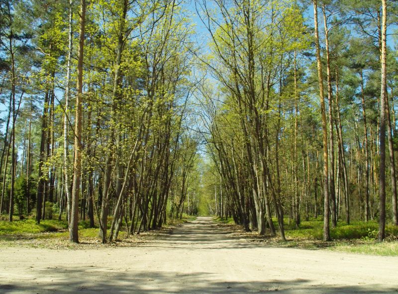 Tutaj powinien być opis obrazka