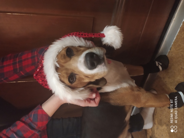 Tutaj powinien być opis obrazka