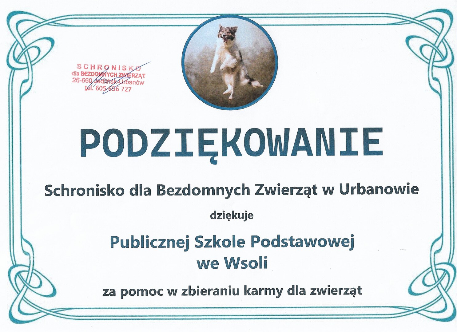 Tutaj powinien być opis
