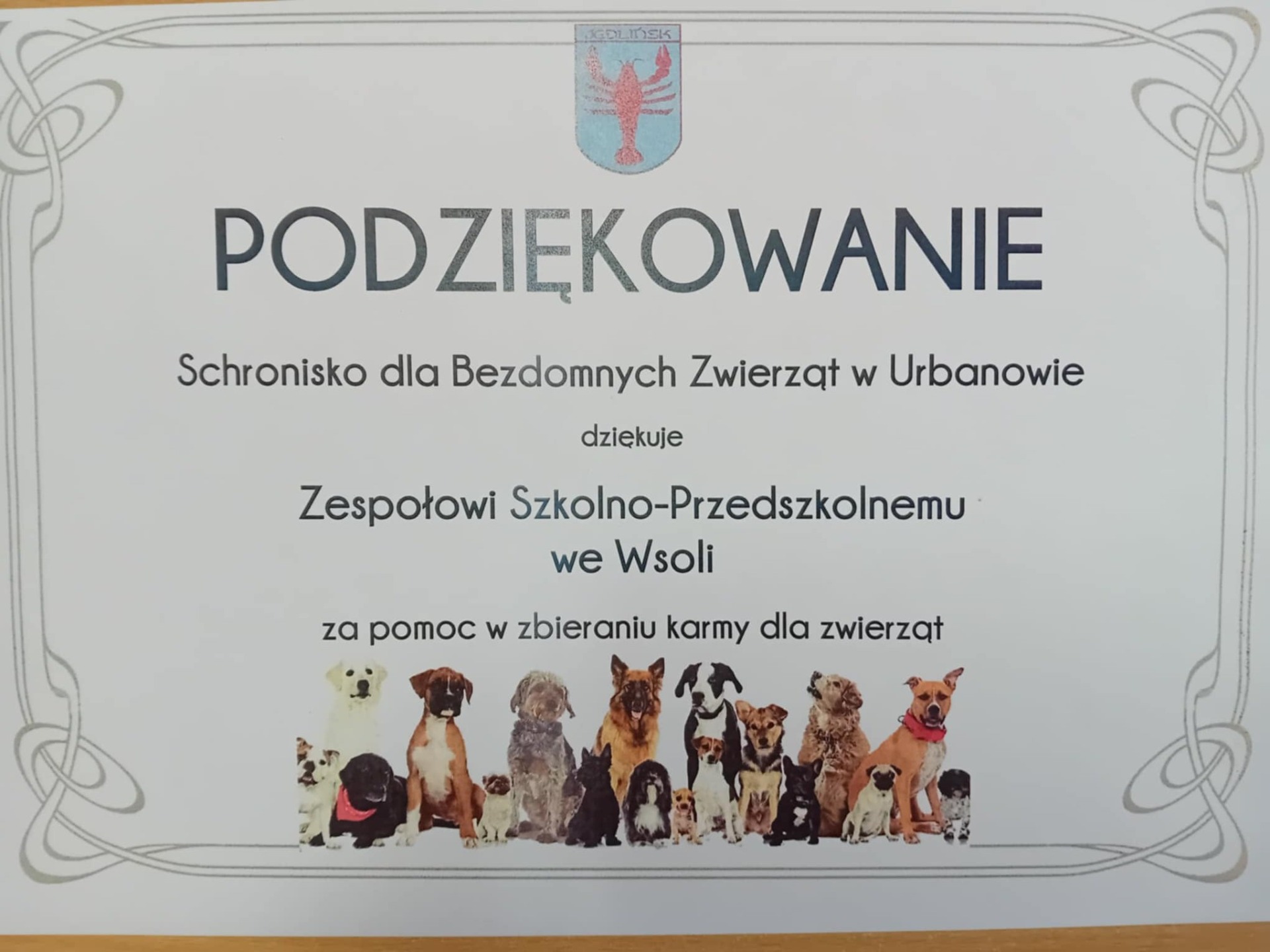 Tutaj powinien być opis
