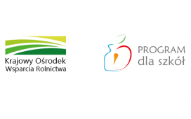 program dla szkół