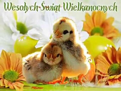 kartka znajduje się na stronie: https://www.youtube.com/watch?v=9pCJGz1jOzk