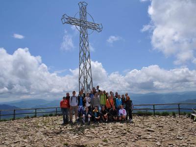 Tarnica