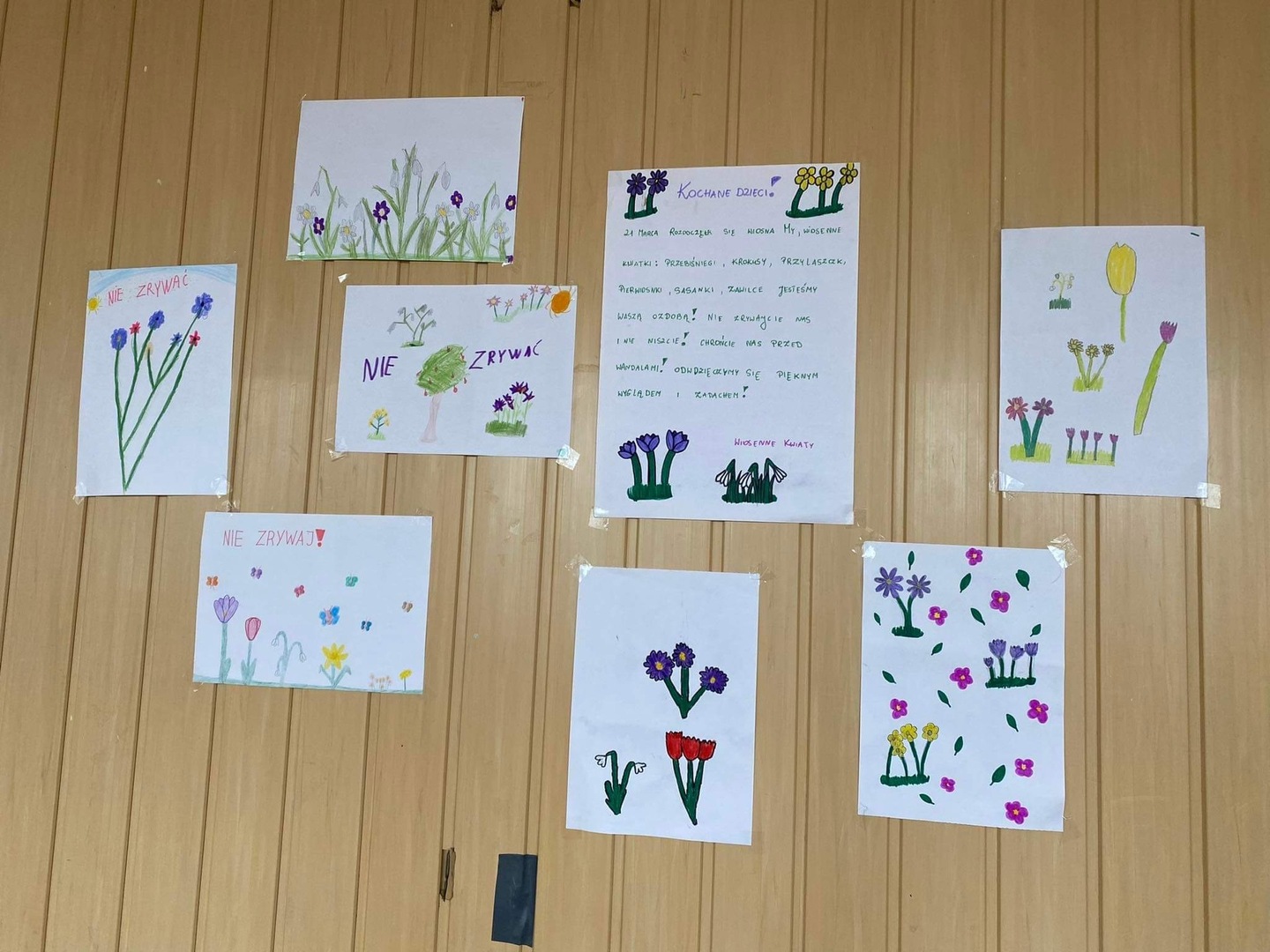 Tutaj powinien by膰 opis