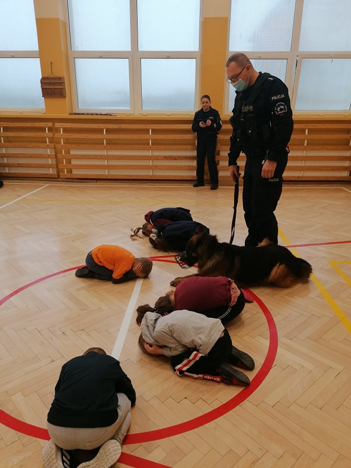 Tutaj powinien być opis