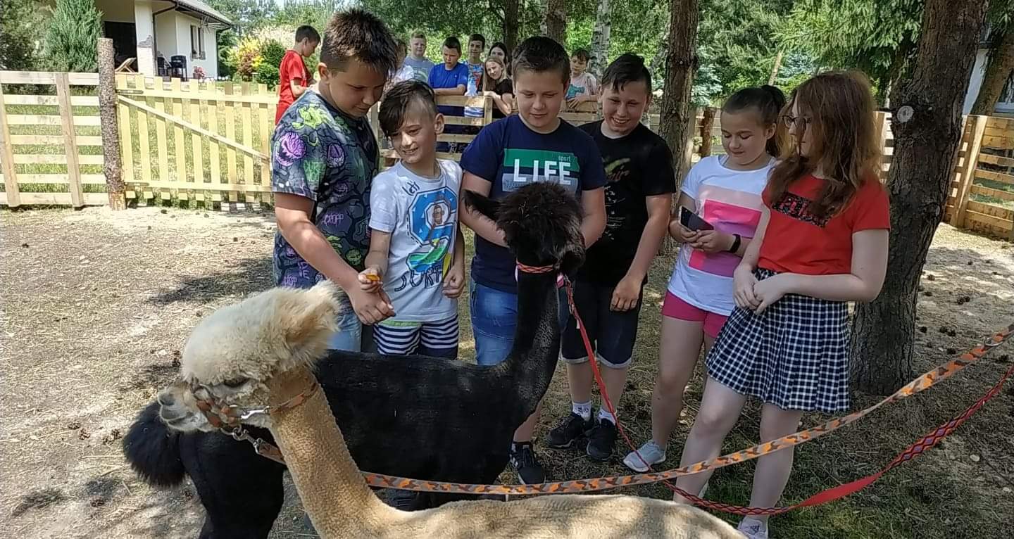Tutaj powinien być opis