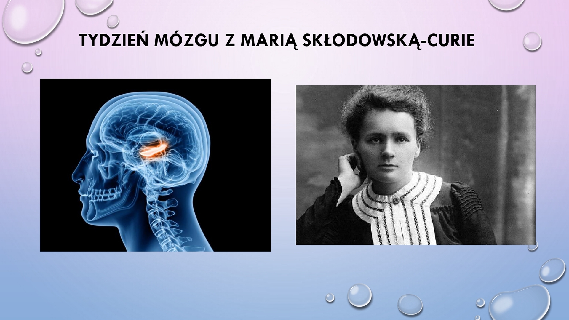 tydzien_mozgu_z_maria_sklodowskacurie_page0001.jpg [2000x1125]