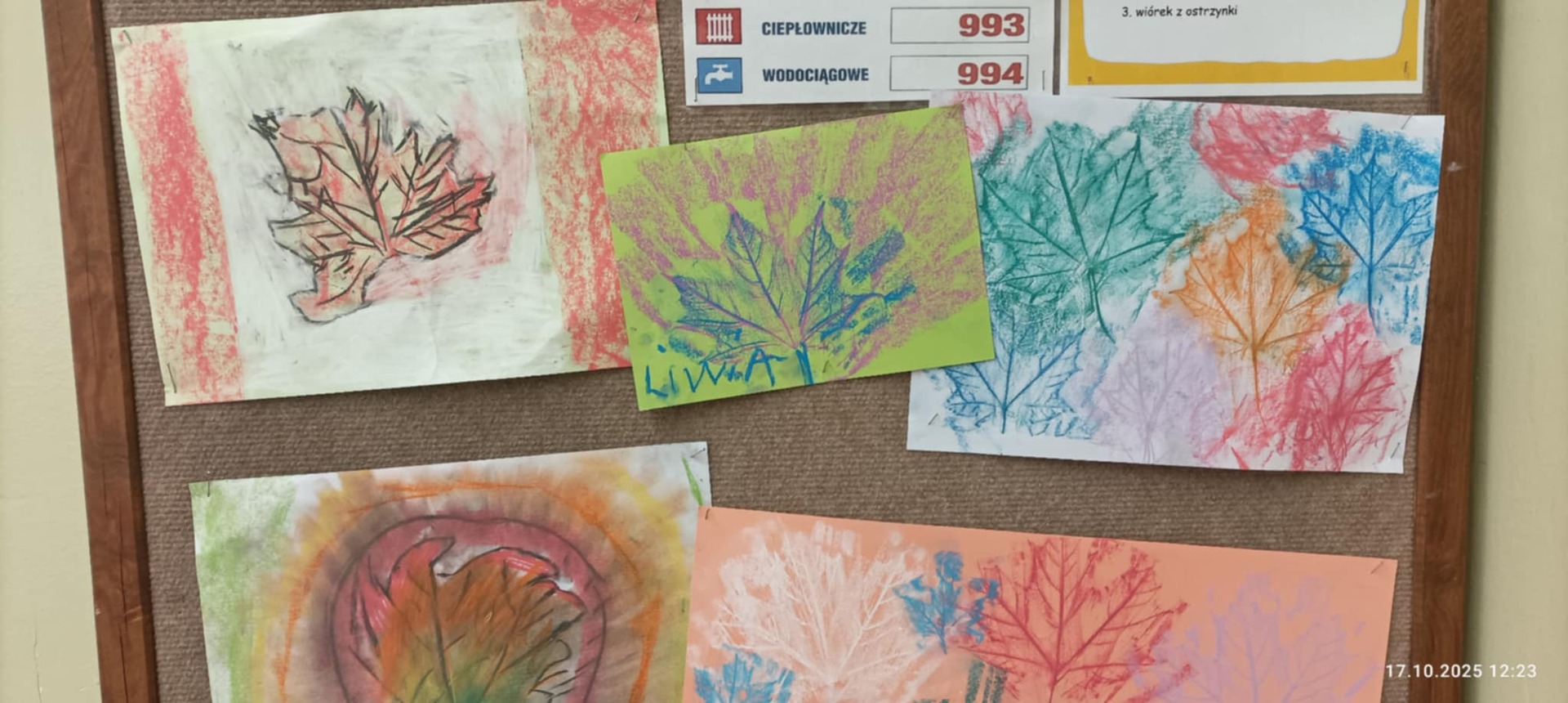 c89e74de9213475fbb6799b5f3420f42.jpeg [2048x917]