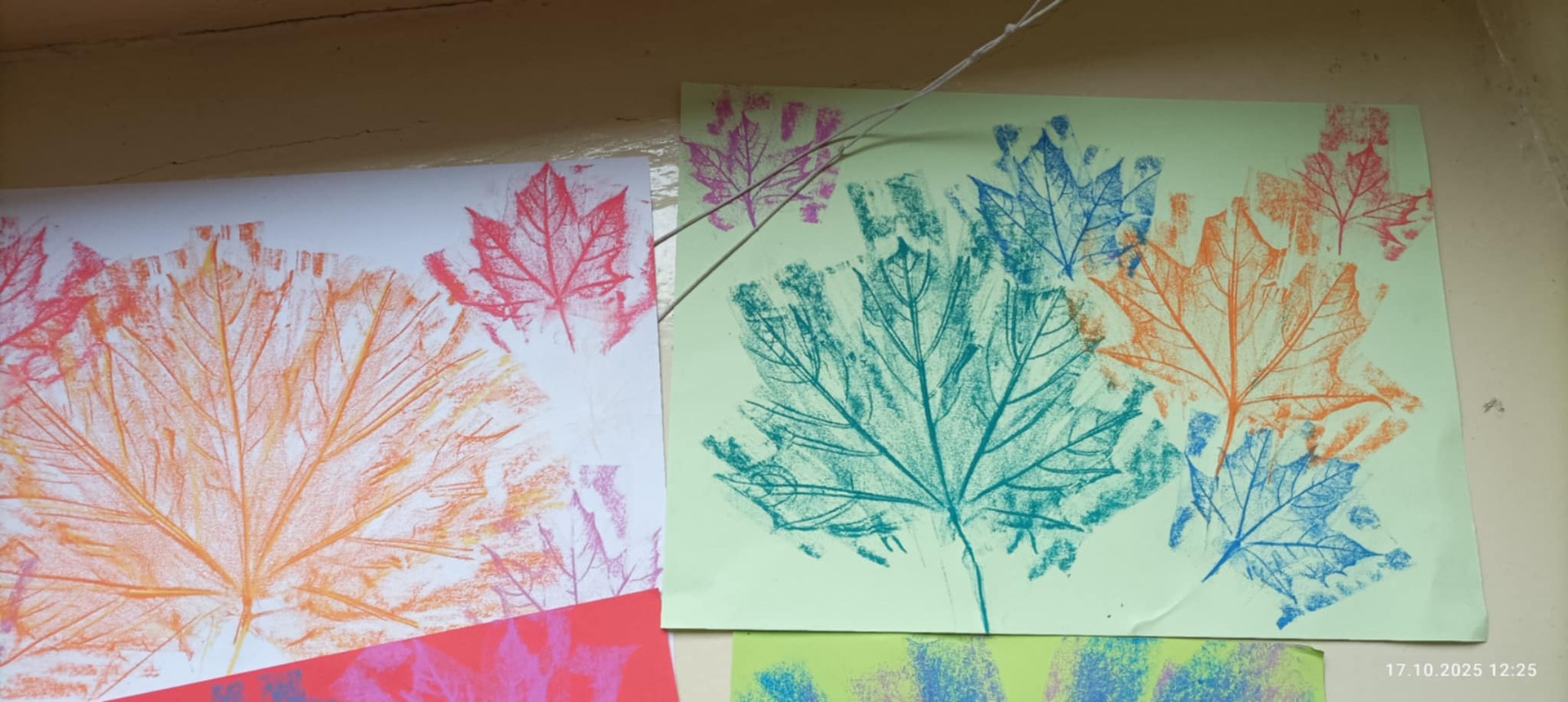 e7aa51f20b7d4dda9fde9219d97b29d8.jpeg [2048x917]