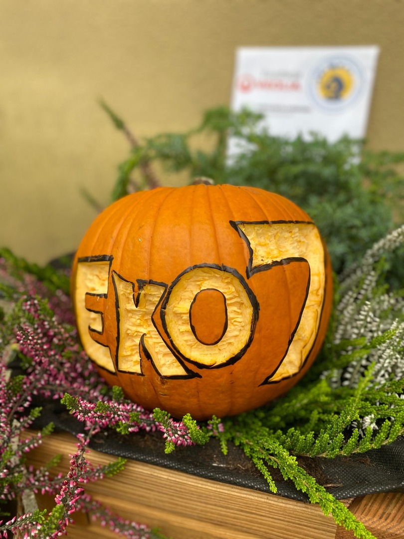 img_2272.jpeg [1440x1920]