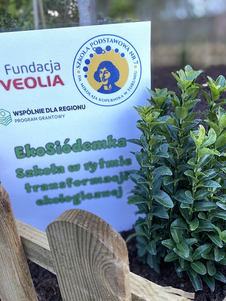 ogrodek.jpeg [454x605]