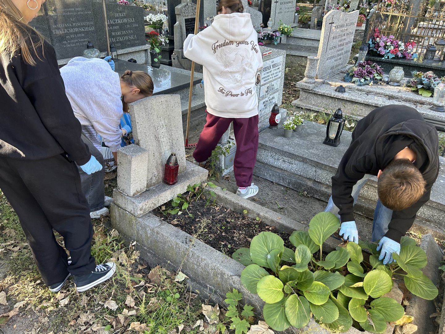 img_9340.jpg [4032x3024]