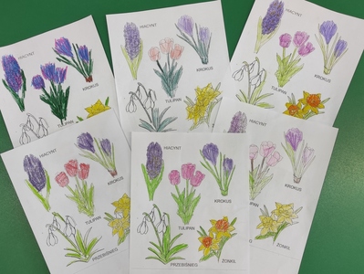 img_20210309_090153jpg [399x300]