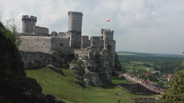 Tutaj powinien być opis
