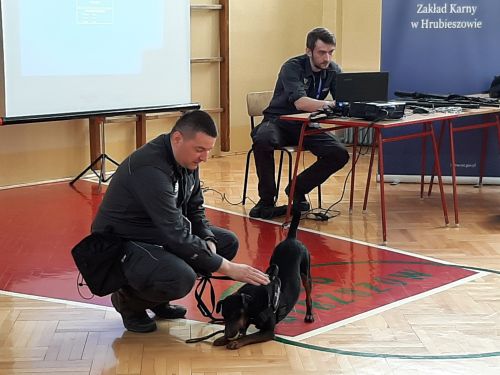 Tutaj powinien być opis