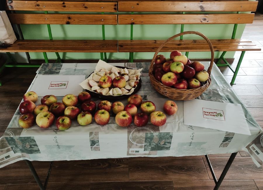 Tutaj powinien być opis