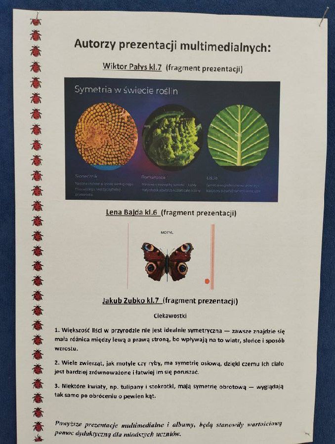 Tutaj powinien być opis