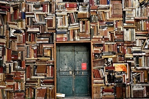 books1655783_960_720jpg [300x200]