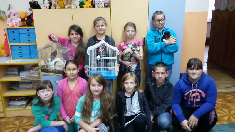 Tutaj powinien być opis obrazka