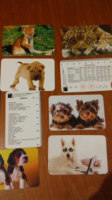 Tutaj powinien być opis obrazka