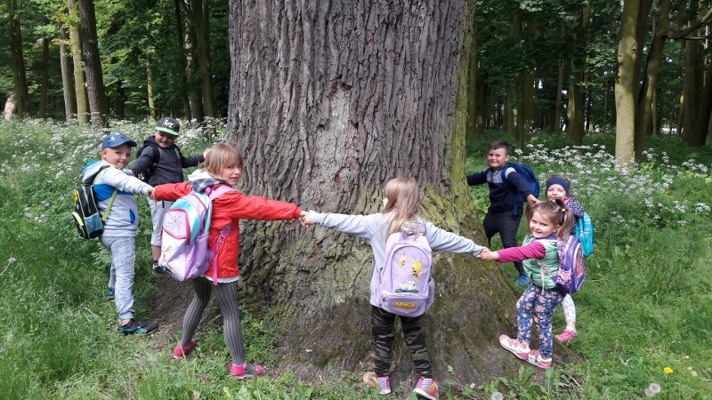 Tutaj powinien być opis obrazka