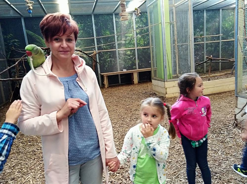 Tutaj powinien być opis obrazka