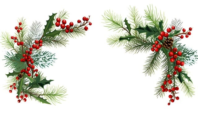 merrychristmas8161575_640.jpg [640x402]