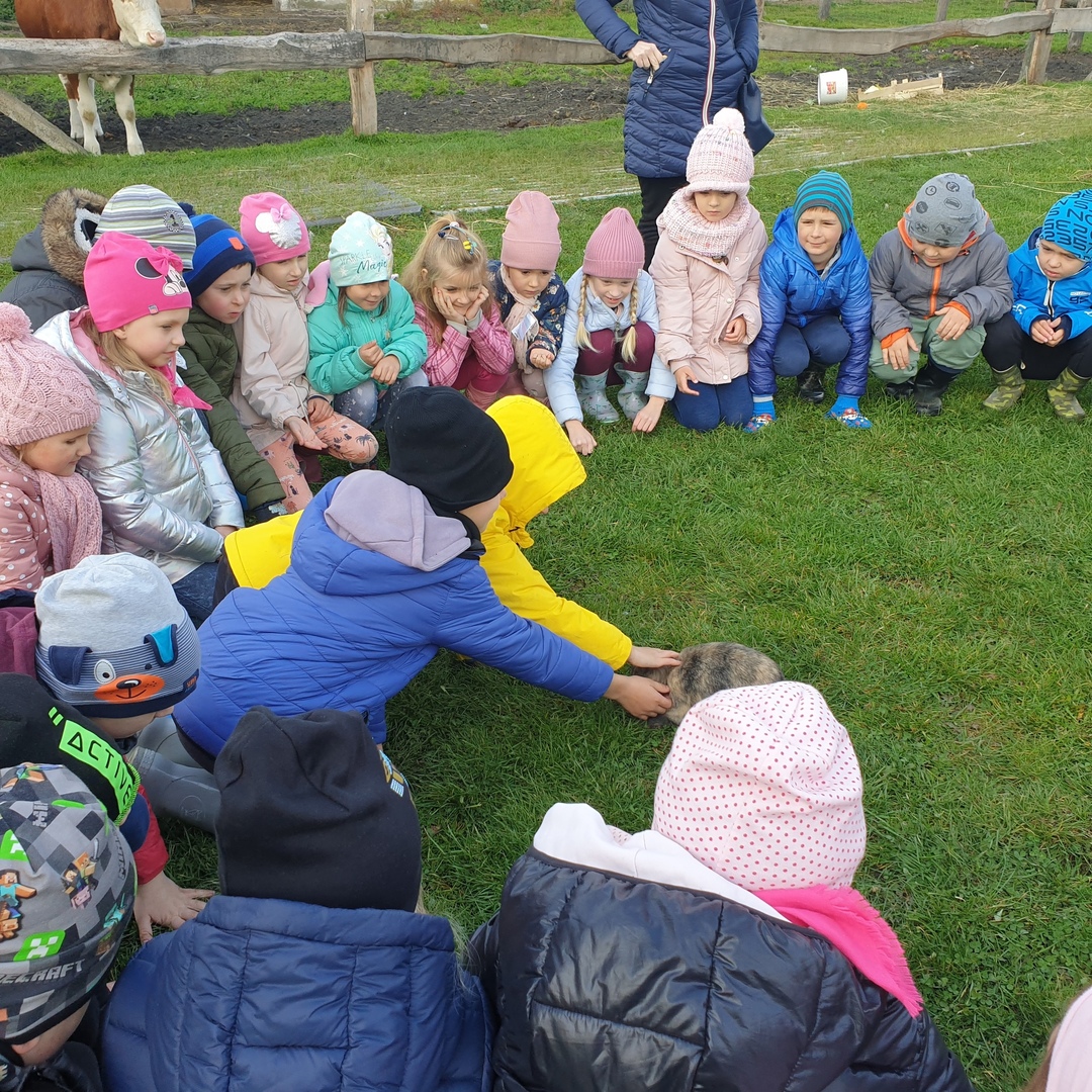 20211012_095003jpg [3024x3024]