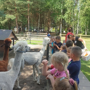 20220623_103803jpg [300x300]