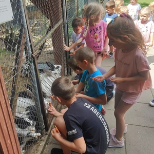 20220623_104122jpg [300x300]