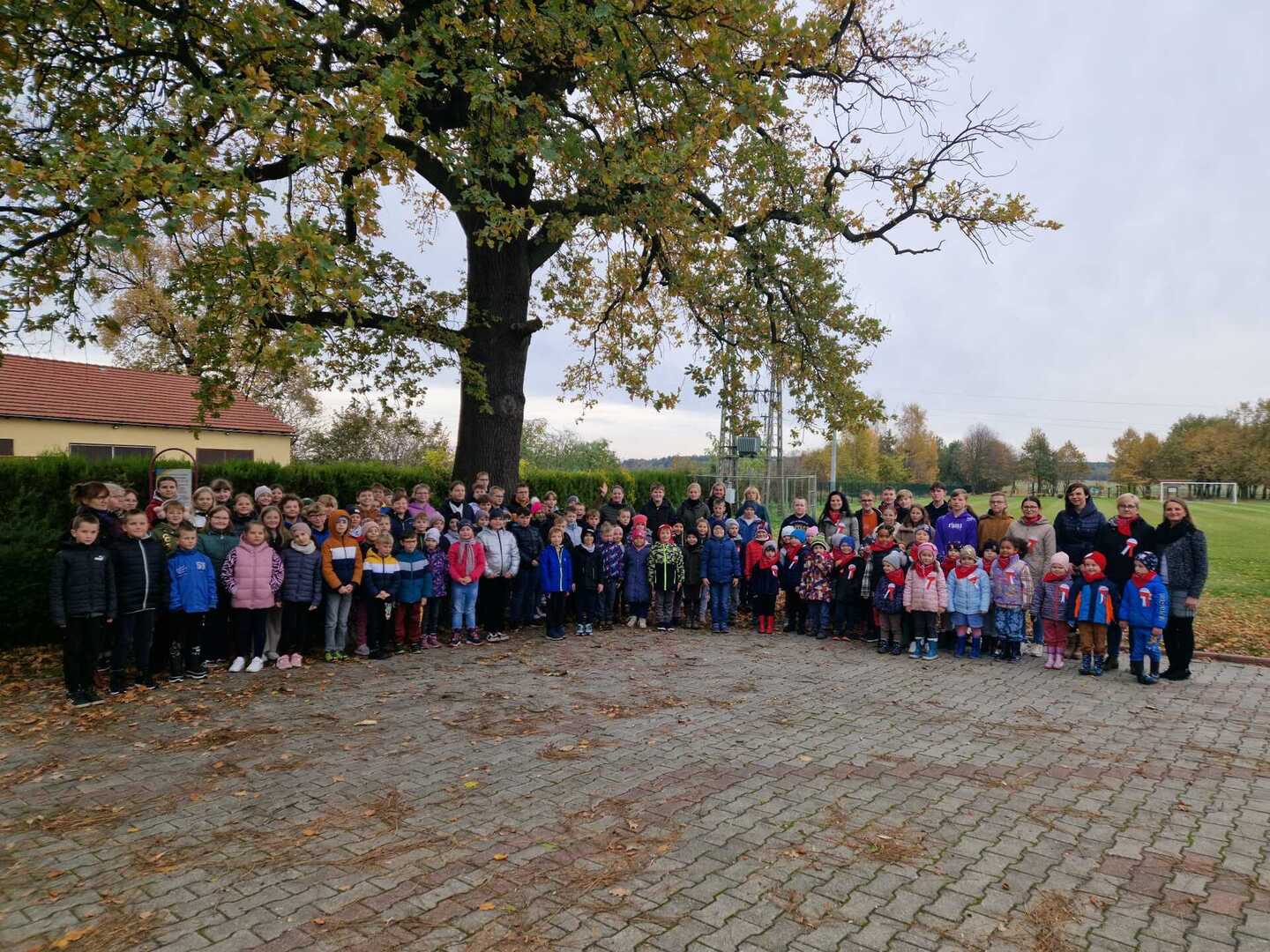 Tutaj powinien być opis