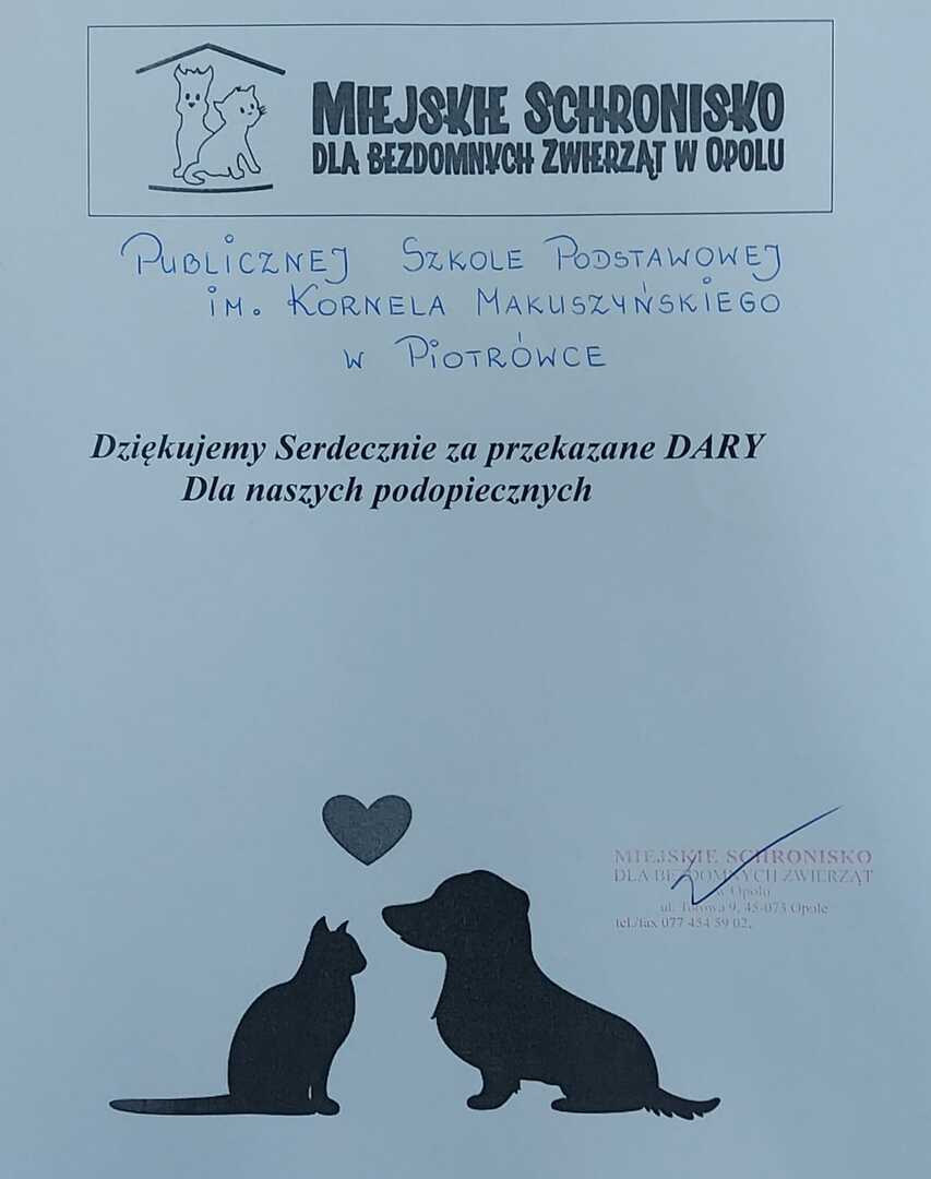 Tutaj powinien być opis