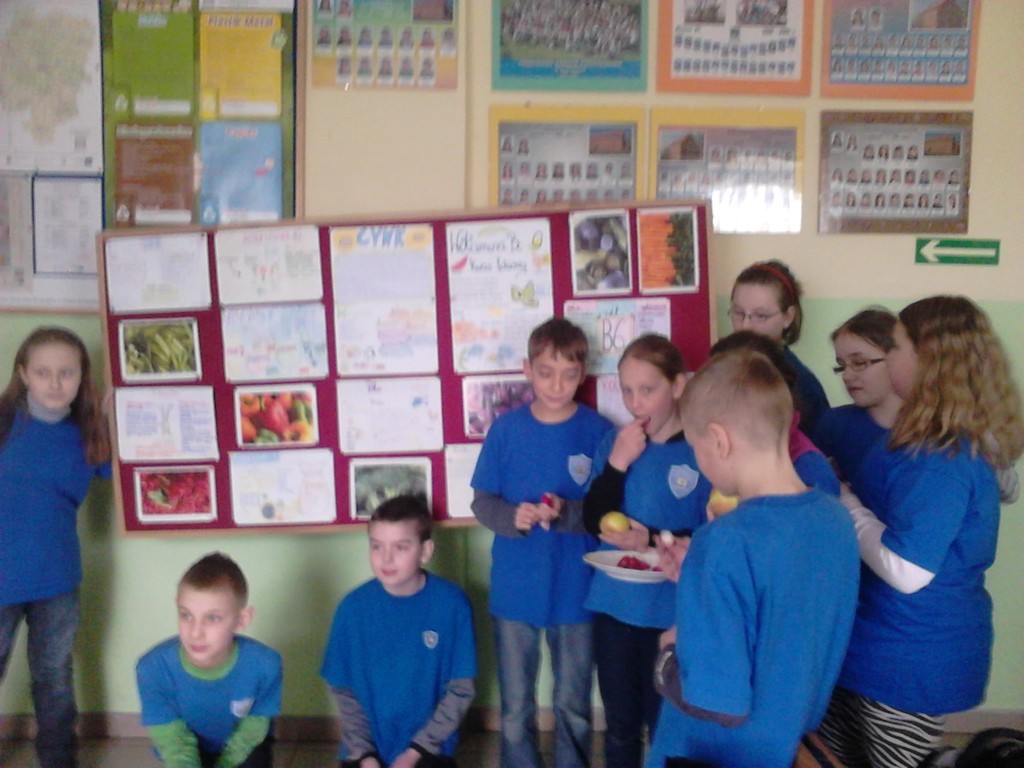 Tutaj powinien być opis