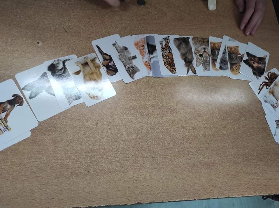 Tutaj powinien być opis