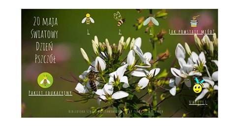 safe_imagejpg [500x260]