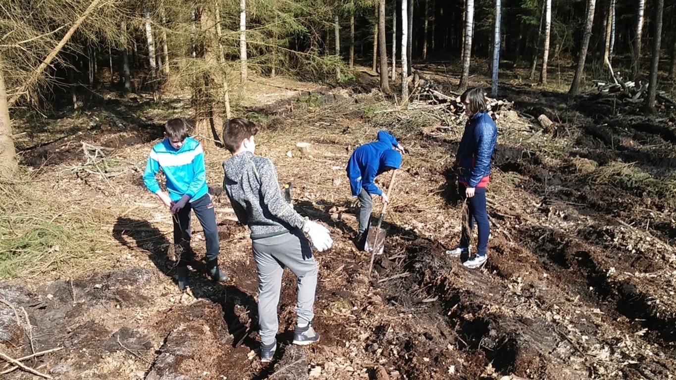 Tutaj powinien być opis obrazka