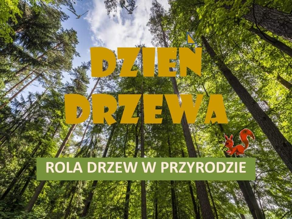 Tutaj powinien być opis obrazka