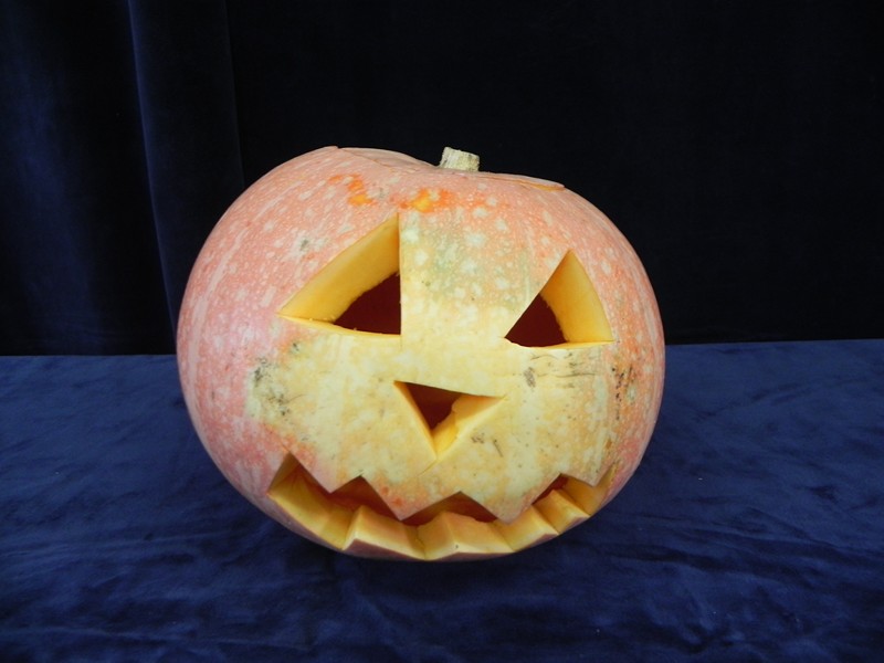 Tutaj powinien być opis obrazka