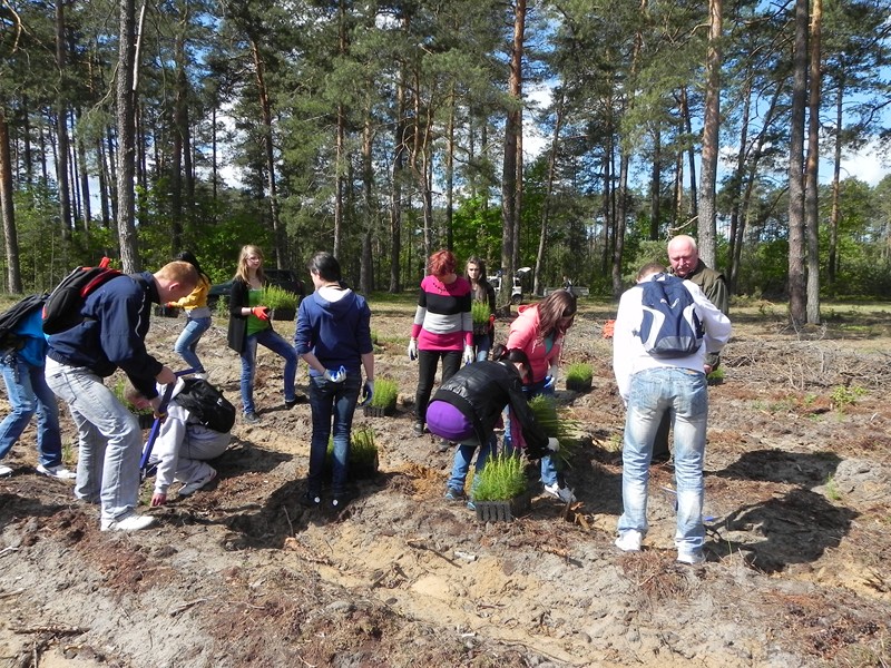 Tutaj powinien być opis obrazka