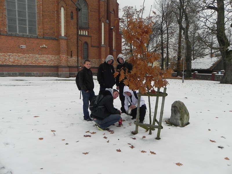 Tutaj powinien być opis obrazka