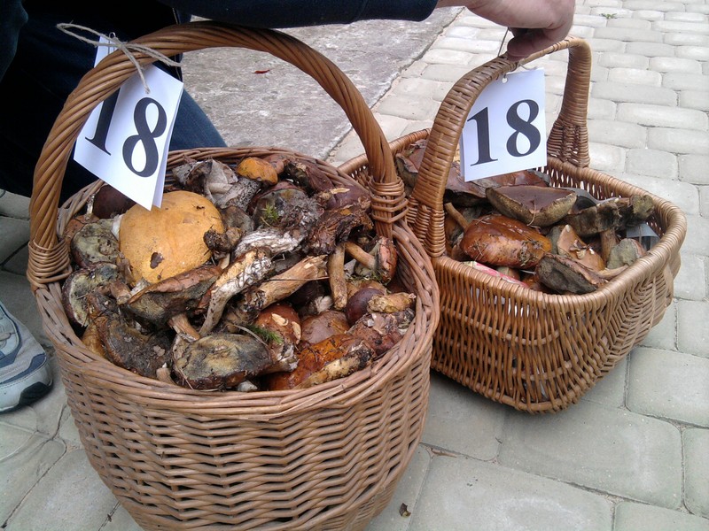 Tutaj powinien być opis obrazka