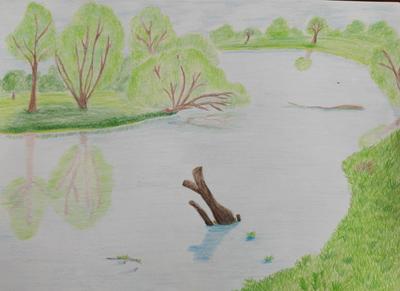 Kinga Kościołek kl.1b