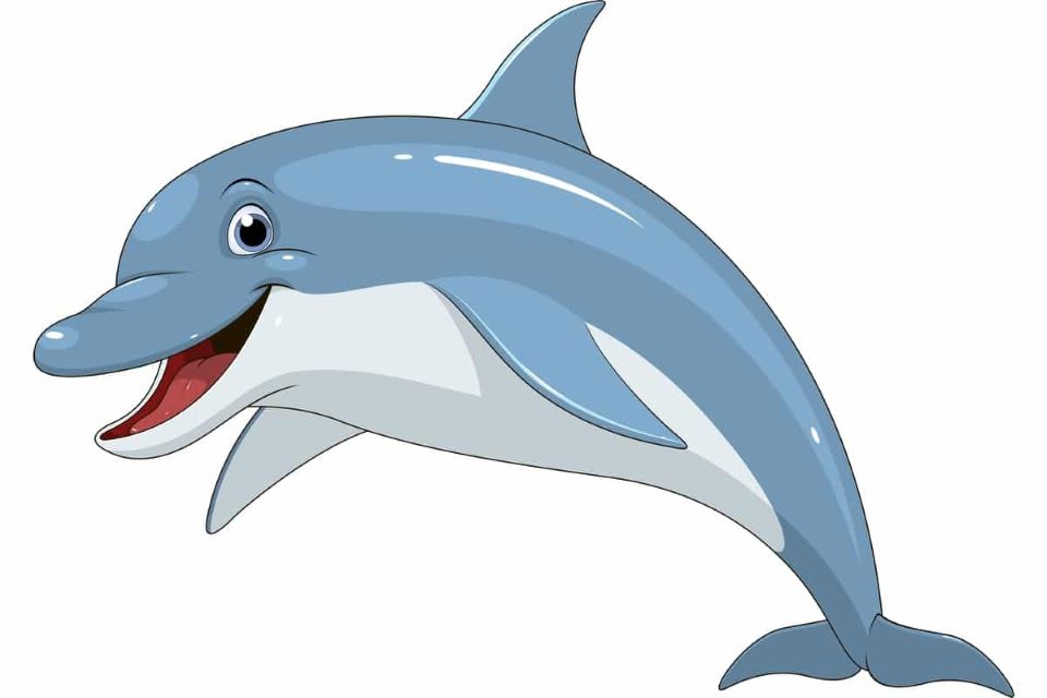 maly_delfin.jpg [960x640]