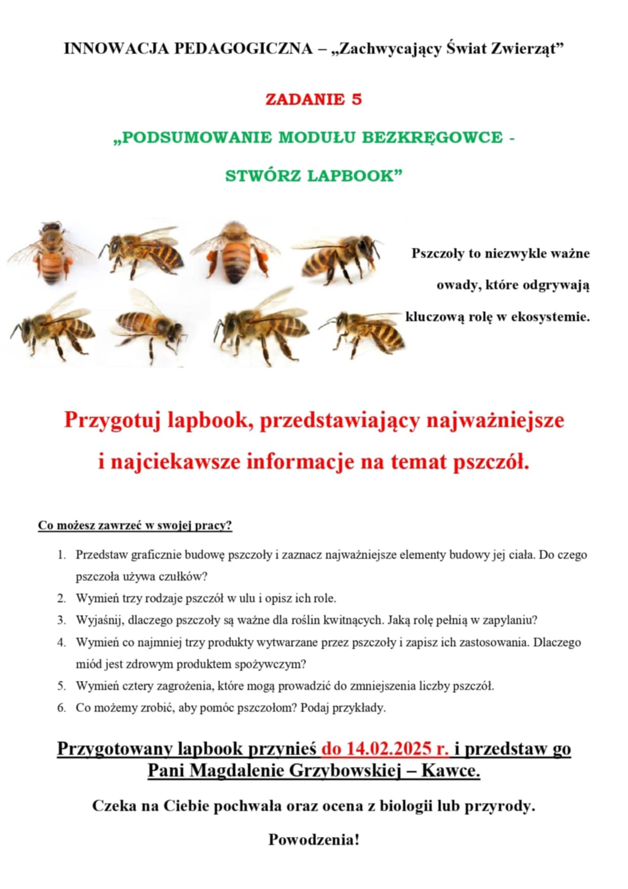 Tutaj powinien być opis
