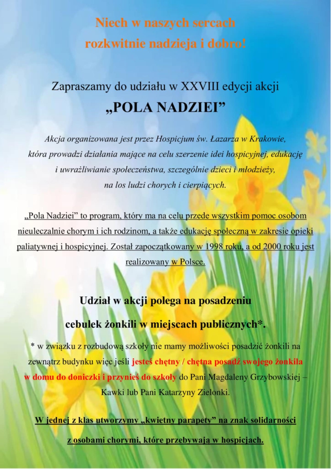 Tutaj powinien być opis