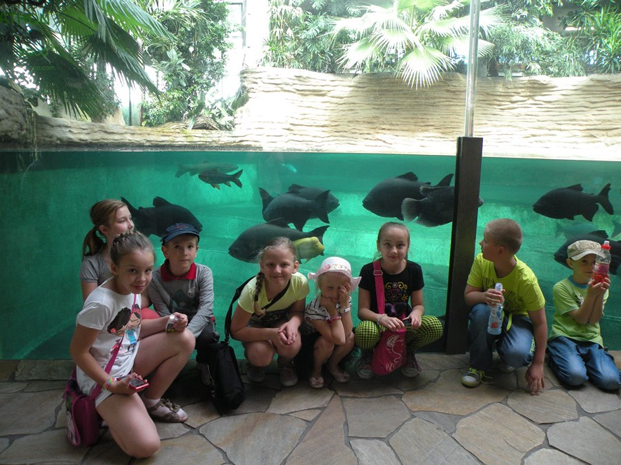 Tutaj powinien być opis