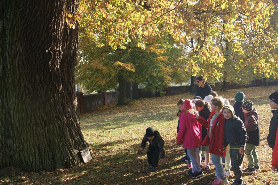 Tutaj powinien być opis