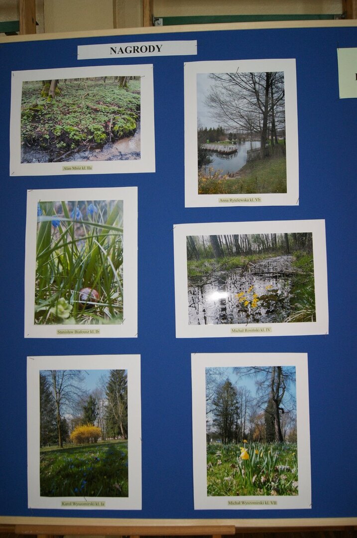 Tutaj powinien być opis