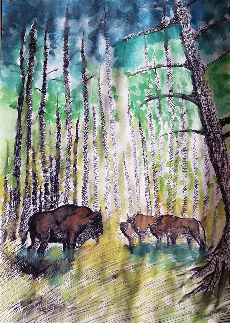 Tutaj powinien być opis